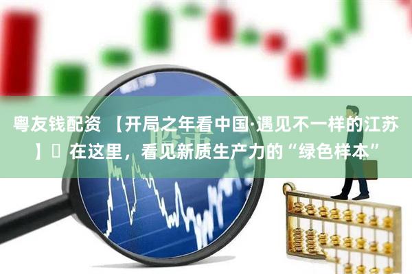 粤友钱配资 【开局之年看中国·遇见不一样的江苏】​在这里，看见新质生产力的“绿色样本”