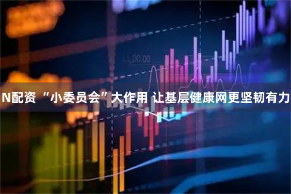 N配资 “小委员会”大作用 让基层健康网更坚韧有力